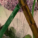 Untitled 1 - 2011